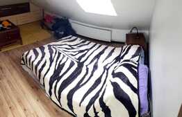 Daca cauti un Loft cochet cu scara interioara la cheie...