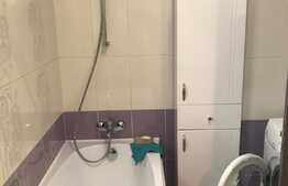 Apartament cochet langa Parcul Rozelor!