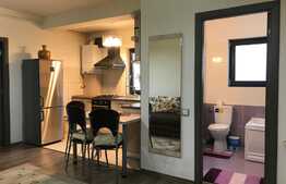 Apartament cochet langa Parcul Rozelor!