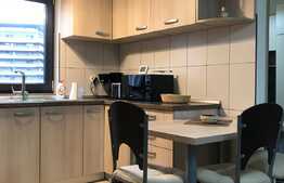 Apartament cochet langa Parcul Rozelor!