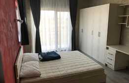  Casa individuala, 250 mp Utili, teren 500 mp, zona strazii Traian Vuia