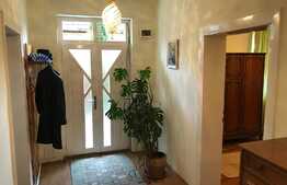 2 Case individuale in curte comuna, zona Strazii Traian Vuia, suprafata de teren 800 mp