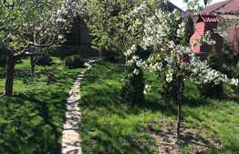 2 Case individuale in curte comuna, zona Strazii Traian Vuia, suprafata de teren 800 mp