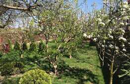 2 Case individuale in curte comuna, zona Strazii Traian Vuia, suprafata de teren 800 mp