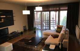 2 Case individuale in curte comuna, zona Strazii Traian Vuia, suprafata de teren 800 mp