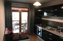 2 Case individuale in curte comuna, zona Strazii Traian Vuia, suprafata de teren 800 mp