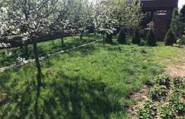 2 Case individuale in curte comuna, zona Strazii Traian Vuia, suprafata de teren 800 mp