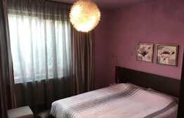 2 Case individuale in curte comuna, zona Strazii Traian Vuia, suprafata de teren 800 mp