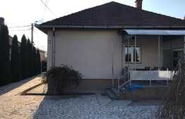 2 Case individuale in curte comuna, zona Strazii Traian Vuia, suprafata de teren 800 mp