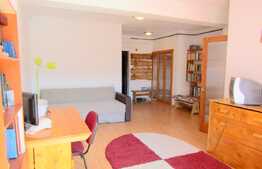 Potrivit pentru investitie sau locuinta personala!