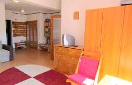 Potrivit pentru investitie sau locuinta personala!