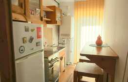 Potrivit pentru investitie sau locuinta personala!