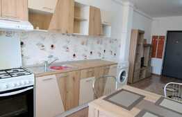 Apartament 2 camere, 46 mp, parcare, prima inchiriere! Zona strazii Dumitru Mocanu!