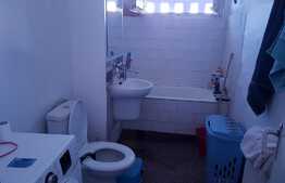 Piatra neslefuita se transforma in diamant!