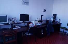 Piatra neslefuita se transforma in diamant!