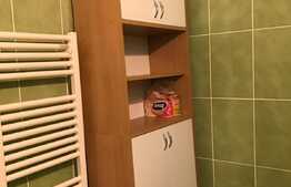 Preferi o locatie centrala? Iti recomand acesta oferta!