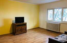 Apartament 1 camera, 43 mp, decomandata, zona strazii Arinilor