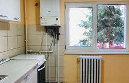 Apartament 1 camera, 43 mp, decomandata, zona strazii Arinilor