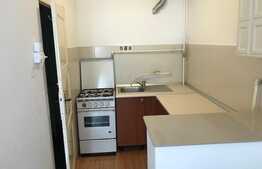 Garsoniera 18 mp, amplasata chiar in inima orasului!