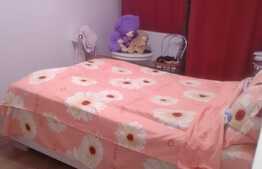 Iti doresti un apartament in zona Vivo?