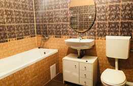 De vanzare apartament cu 1 camera, 36 mp, parcare cu CF, zona strazii Porii