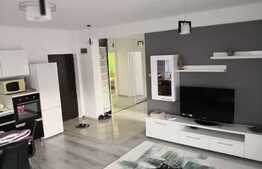 Blitz va propune spre inchiriere un apartament deosebit!