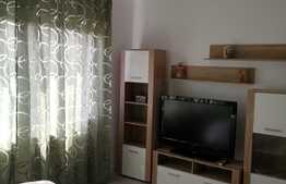 Blitz va propune spre inchiriere un apartament deosebit!