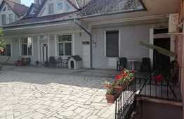 Scadere de pret! Casa cuplata 60 mp, garaj si curte 120 mp, zona Dorobantilor