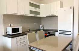 Apartament 2 camere, 55mp, balcon, A.C., mobilat modern, parcare optionala, zona Sophia