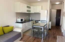 Apartament 2 camere, 55mp, balcon, A.C., mobilat modern, parcare optionala, zona Sophia