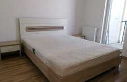 Apartament 2 camere, 55mp, balcon, A.C., mobilat modern, parcare optionala, zona Sophia