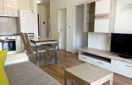 Apartament 2 camere, 55mp, balcon, A.C., mobilat modern, parcare optionala, zona Sophia