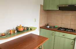 Apartament la cheie! Apartament 1 camera, complet mobilat si utilat, 34 mp in zona Policlinicii Grigorescu