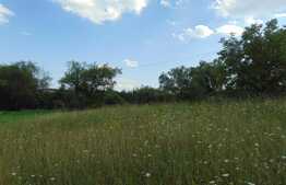 Teren intravilan 430 mp, zona Campenesti, cu autorizatie de constructie