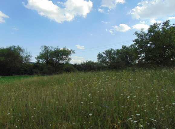 Teren de vânzare Apahida - 37351TV | BLITZ Cluj-Napoca | Poza1