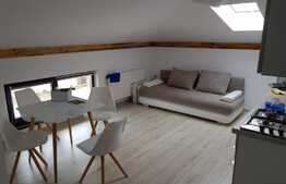 Apartament 2 camere , 46 mp, zona strazii Tautiului !