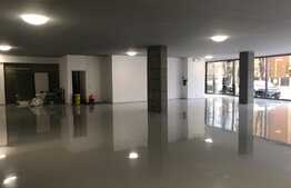 Spatiu comercial elegant in cladire moderna!