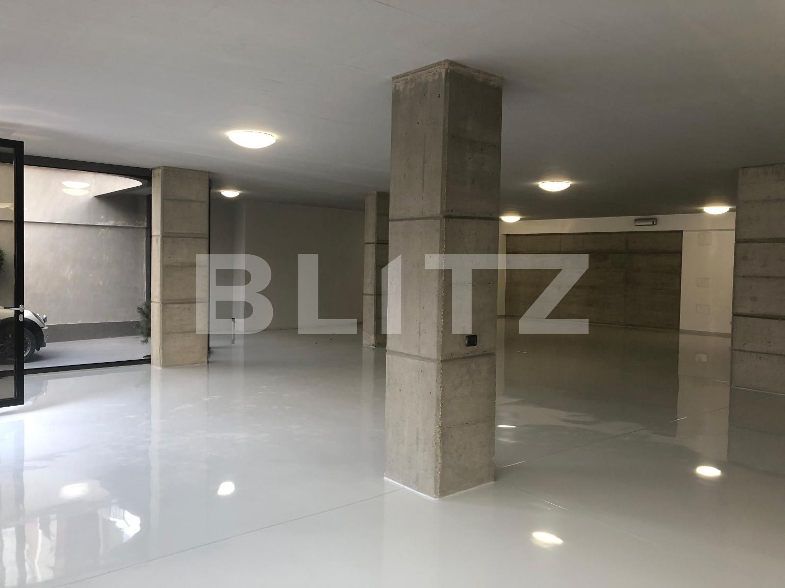Spațiu comercial de închiriat Central - 37359SIC | BLITZ Cluj-Napoca | Poza3