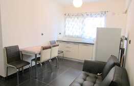 Garsoniera la prima inchiriere, 33 mp, mobilata si utilata! Zona Terra!