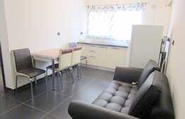 Garsoniera la prima inchiriere, 33 mp, mobilata si utilata! Zona Terra!