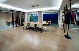 Apartament PREMIUM de dimensiunile unei case, EXCLUSIV prin BLITZ 