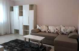 Blitz va propune spre inchiriere o garsoniera deosebita, in zona BIG, Manastur