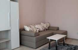 Blitz va propune spre inchiriere o garsoniera deosebita, in zona BIG, Manastur