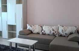 Blitz va propune spre inchiriere o garsoniera deosebita, in zona BIG, Manastur