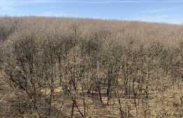 Garsoniera de vanzare, 32mp, etaj intermediar, orientare sudica, garaj