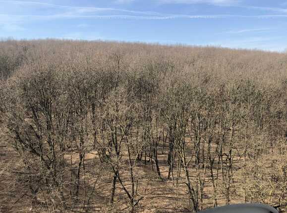 Garsonieră de vânzare Manastur - 37460AV | BLITZ Cluj-Napoca | Poza9