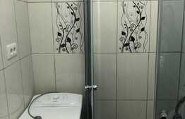 Apartament 2 camere, 40 mp, totul nou, zona strazii Alverna