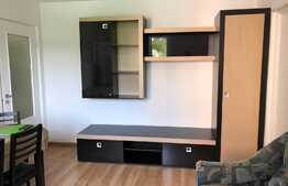 Apartament 2 camere, 40 mp, totul nou, zona strazii Alverna