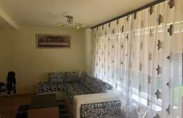 Duplex cu 2 unitati locative si 500 mp de teren, in zona Muzeul Apei!