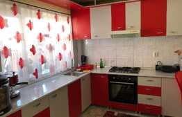 Duplex cu 2 unitati locative si 500 mp de teren, in zona Muzeul Apei!